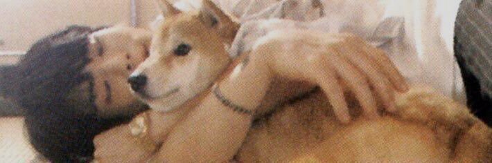 JHSY_90's profile banner image