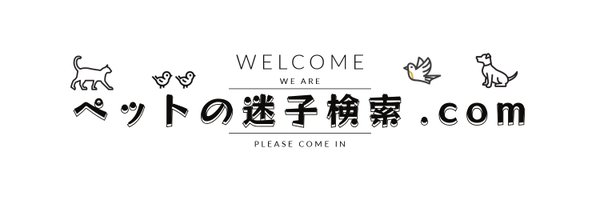 maigokensaku Profile Banner