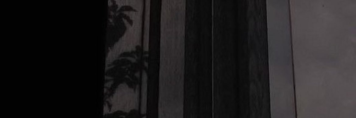 IrenysMorel's profile banner image