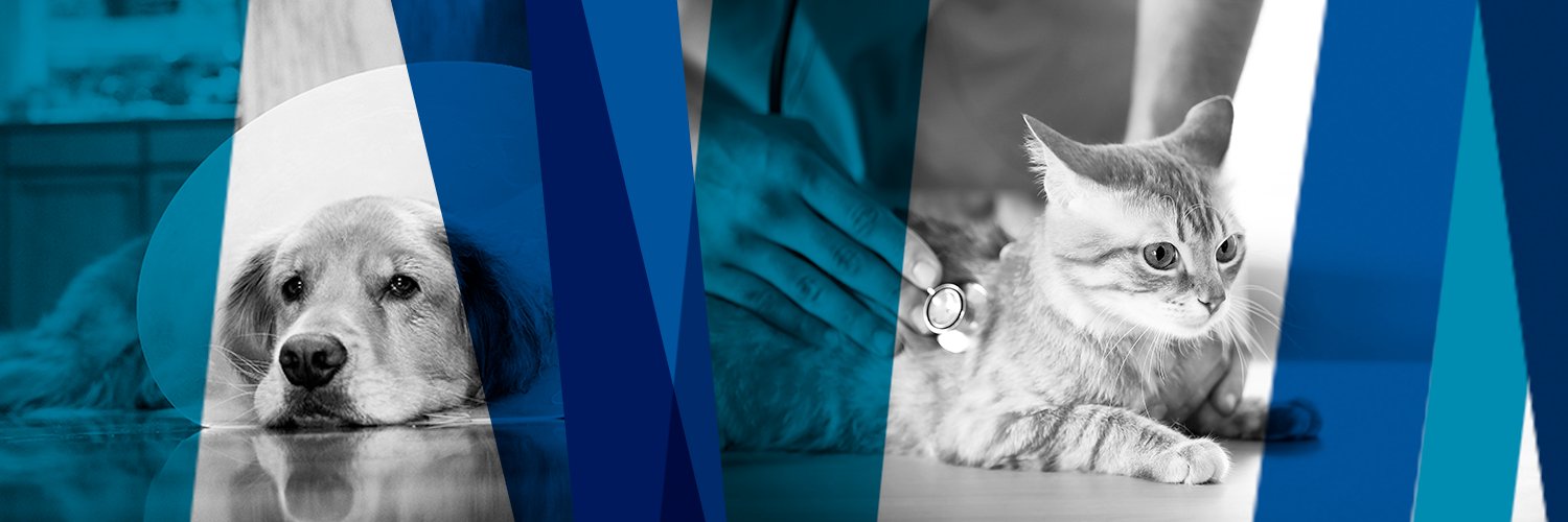 vetswest's profile banner image