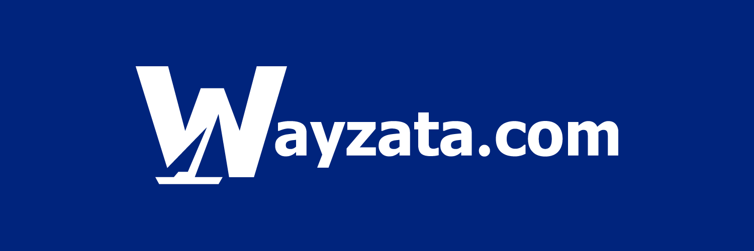 Wayzata.com banner