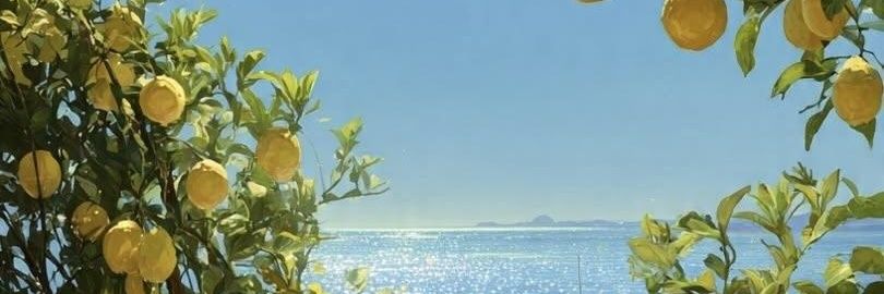 HimeAlisa's profile banner image