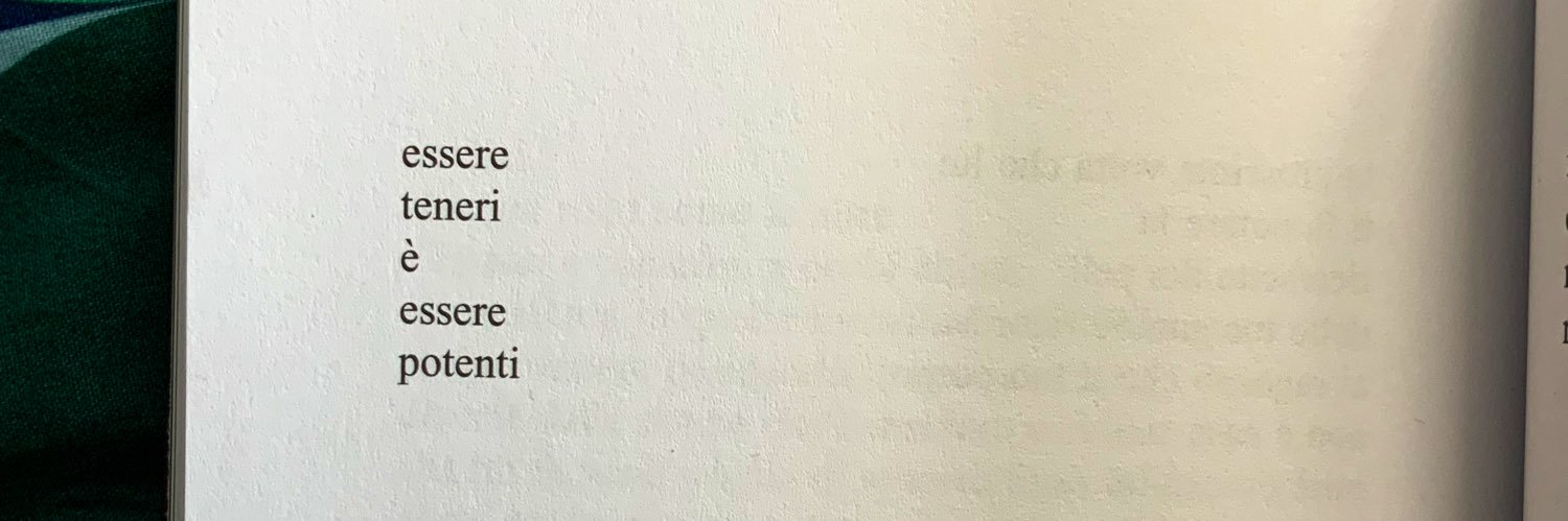 lydiashrader's profile banner image