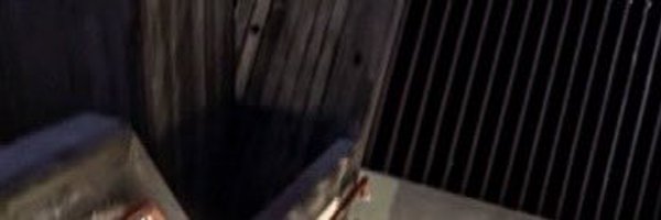 cz100x Profile Banner