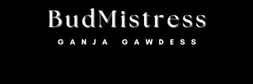 BudMistress's profile banner image