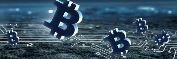 Crypto Signals Live banner