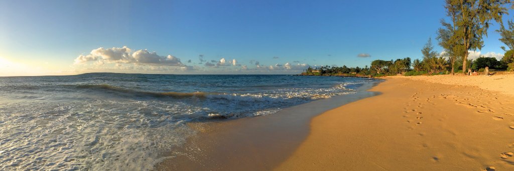 Scott Friedman banner