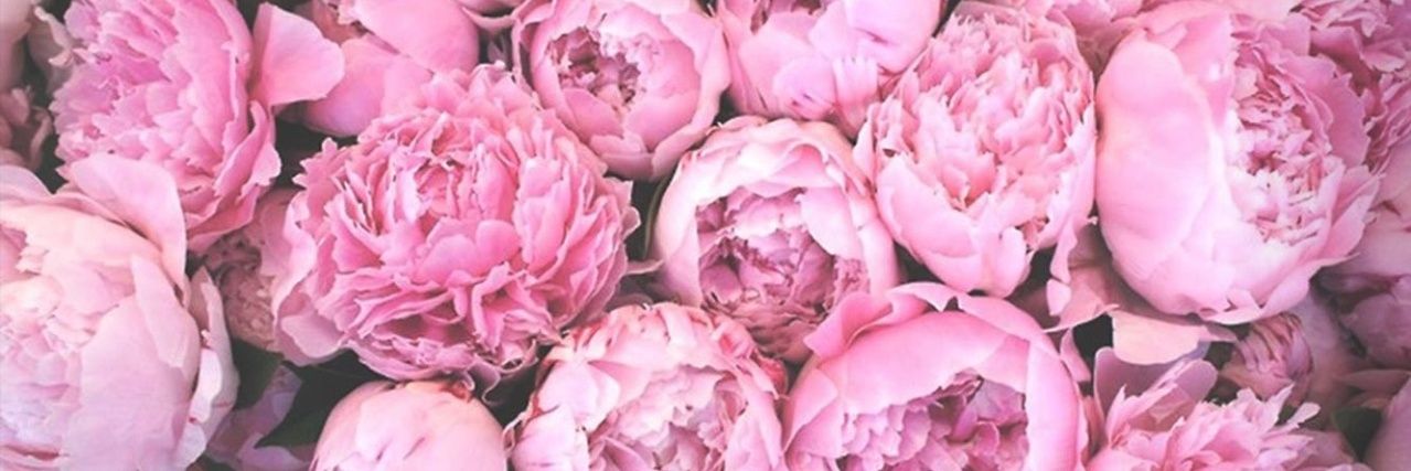 Sedaa_oz's profile banner image