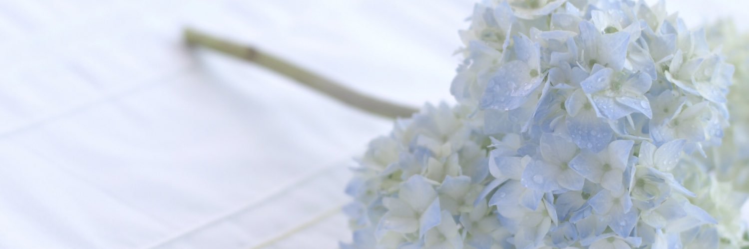 ayu_sor's profile banner image