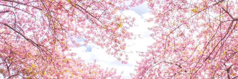 ゆあみ𓈒 𓂃◌𓈒𓐍 𓈒's banner