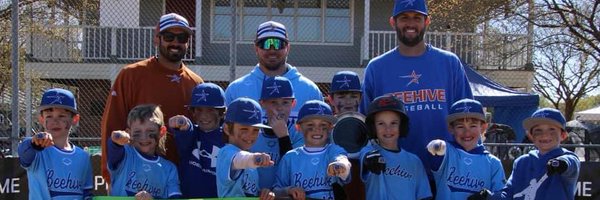 beehivebsbl Profile Banner