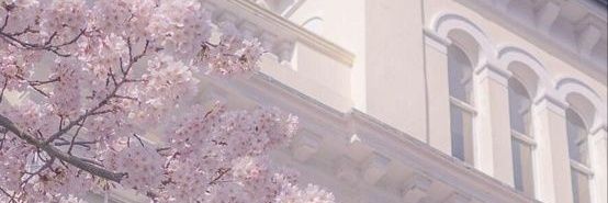 ❥KibKabPark°•🐰🌸🩷 banner
