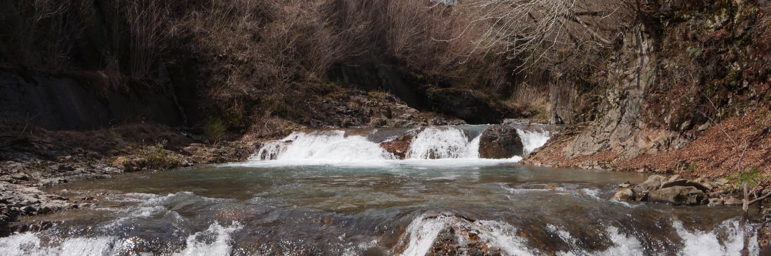 ograaa the. creator banner