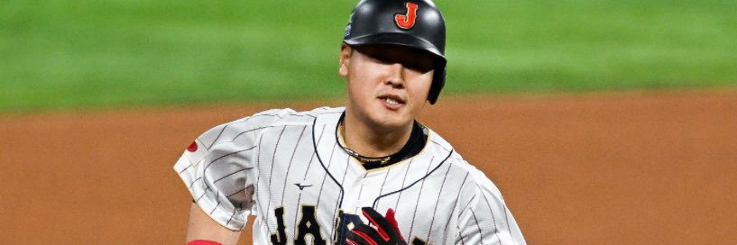 Oak Tree 🍁 banner