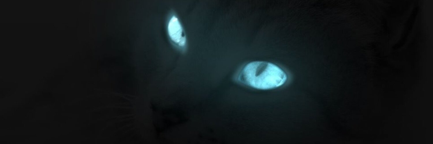 caue_arruda's profile banner image