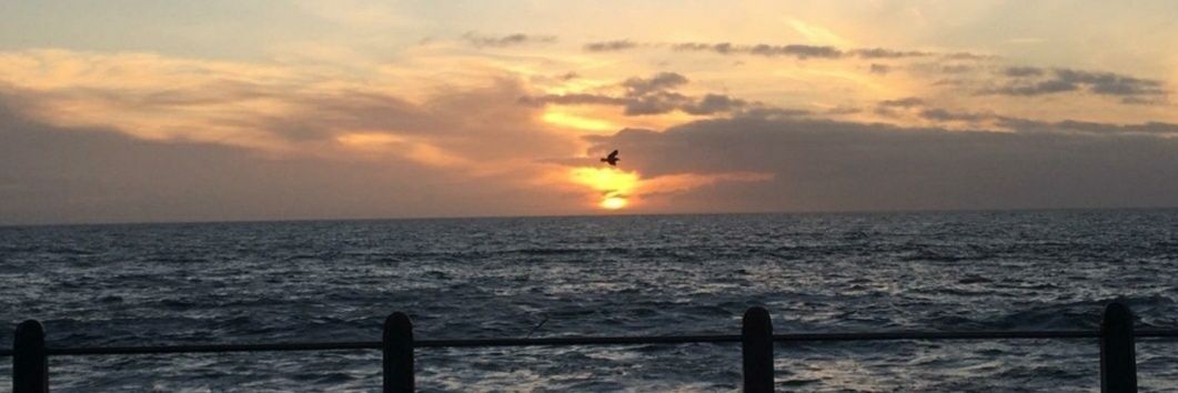 RoderiquesRick's profile banner image