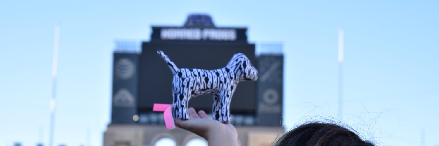 PINKTCU's profile banner image
