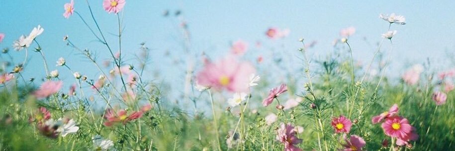 hina_883's profile banner image