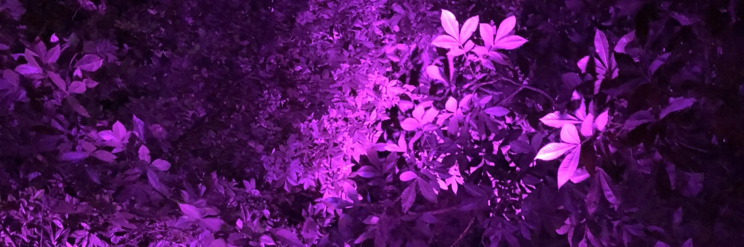nikkinowinski's profile banner image