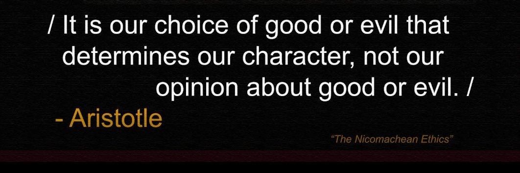 PeepToad-🐥🐸🧷🧷🧷 banner