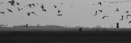 mnil_pq's profile banner image