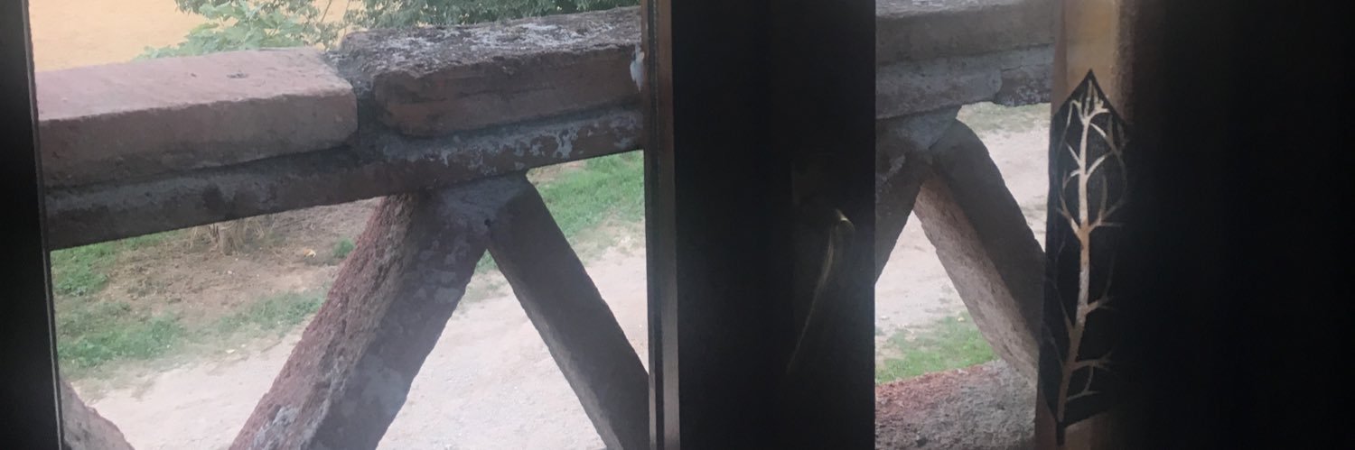 PatitodeGoma2's profile banner image