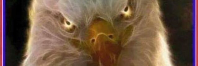 sruther1's profile banner image