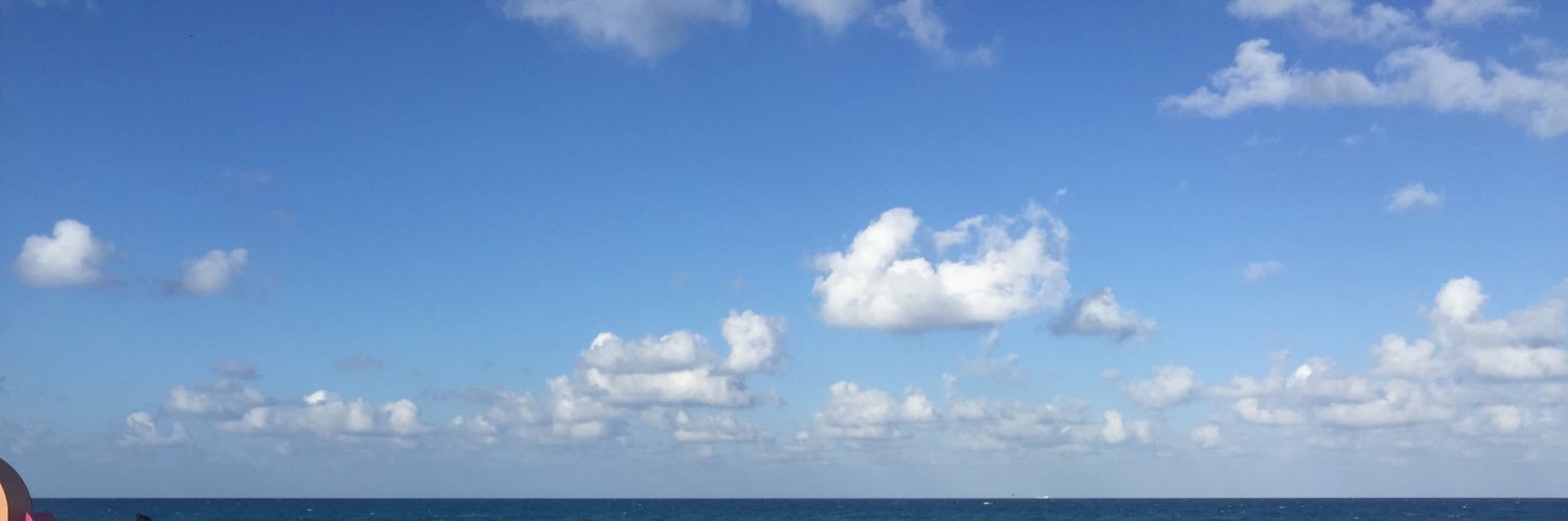 Guadalupe Gómez Maganda banner