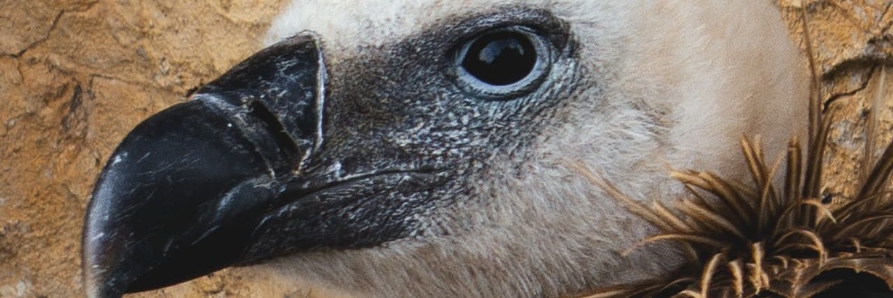 SERAXX's profile banner image