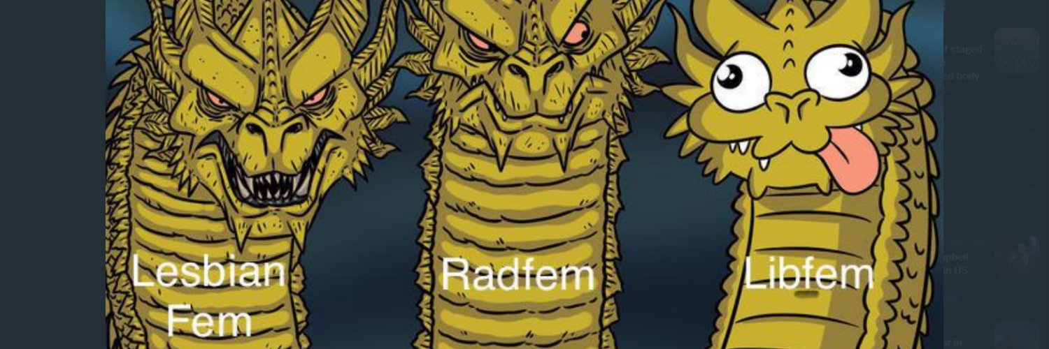 🦖🟩Non-compliant⬜gender skeptic🟪🦕 banner