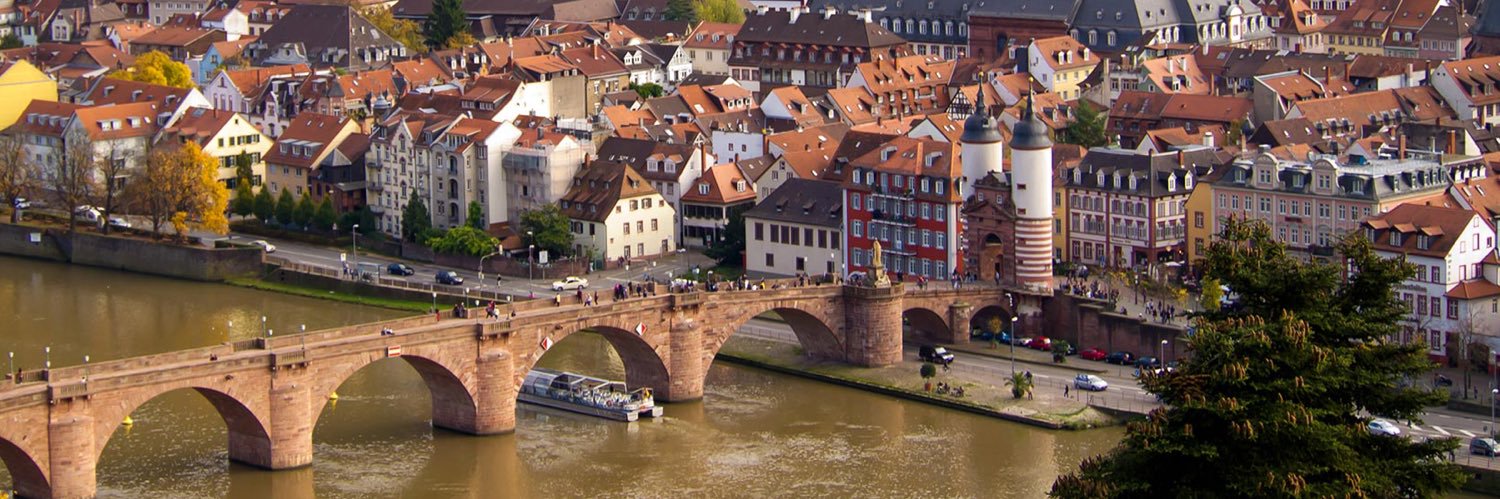 Heidelberg Myeloma's banner