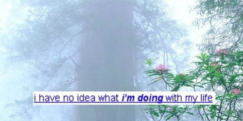 njasha71's profile banner image