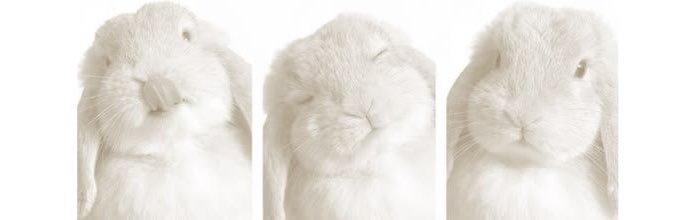 scnk5r's profile banner image