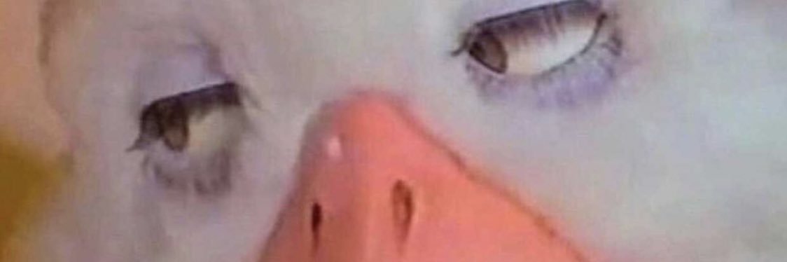 LiliReally's profile banner image