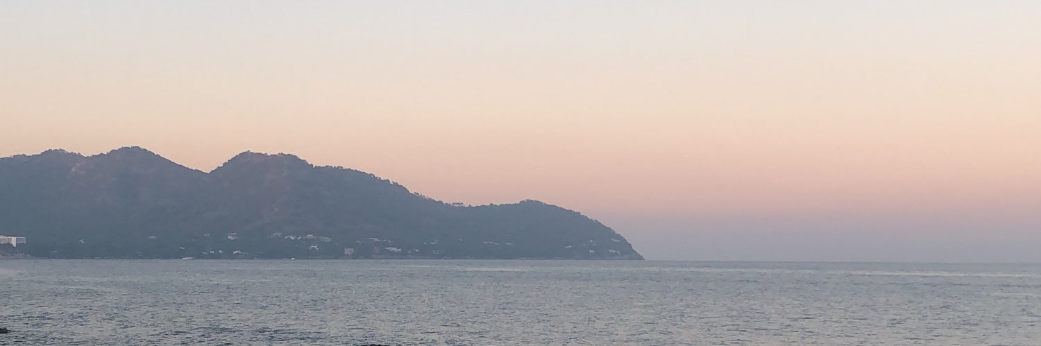 ellrowlands's profile banner image