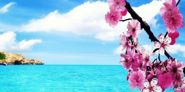 muna_mem77's profile banner image