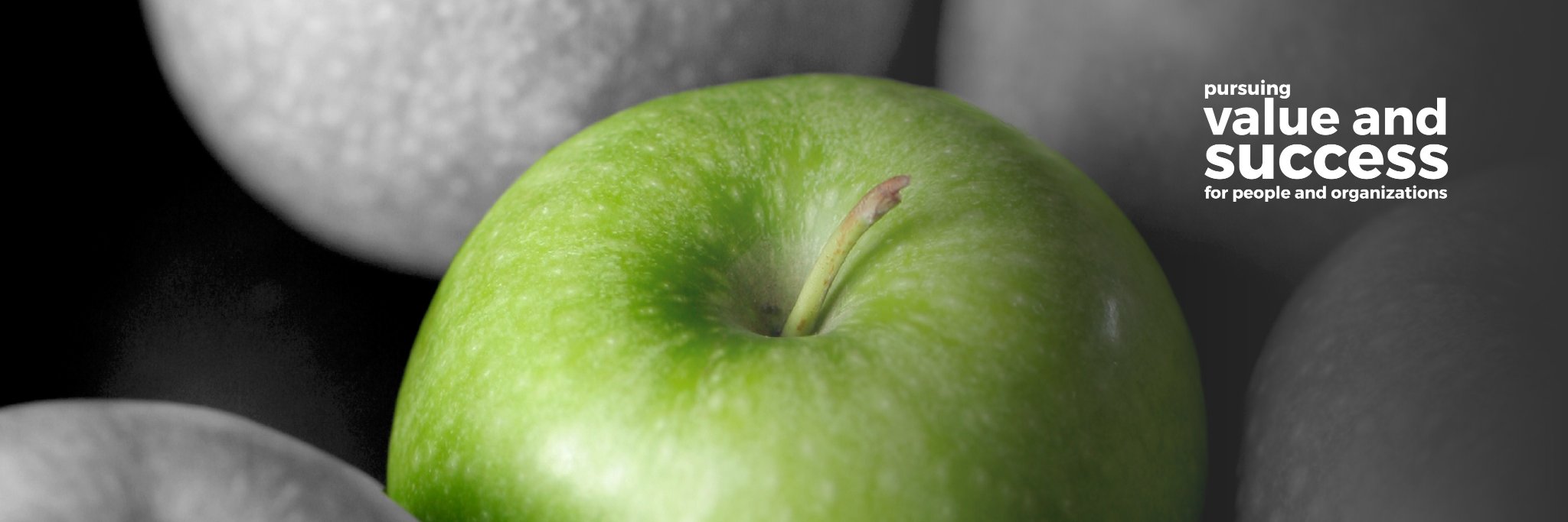 The Bold Choice banner