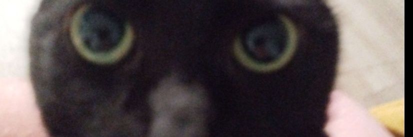 beast76426's profile banner image