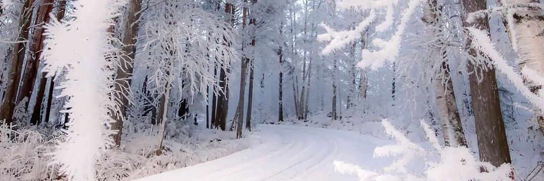 Michael Schofield banner