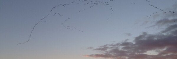 ABrincker Profile Banner