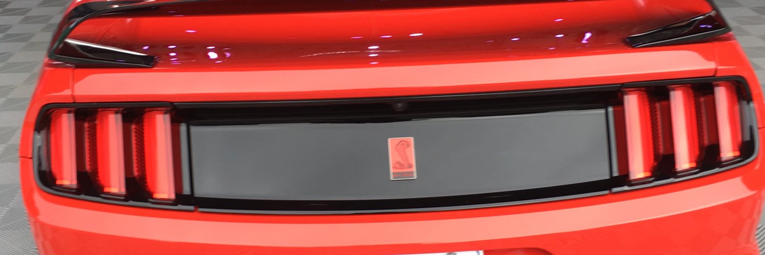 Scotty Pfeffer banner