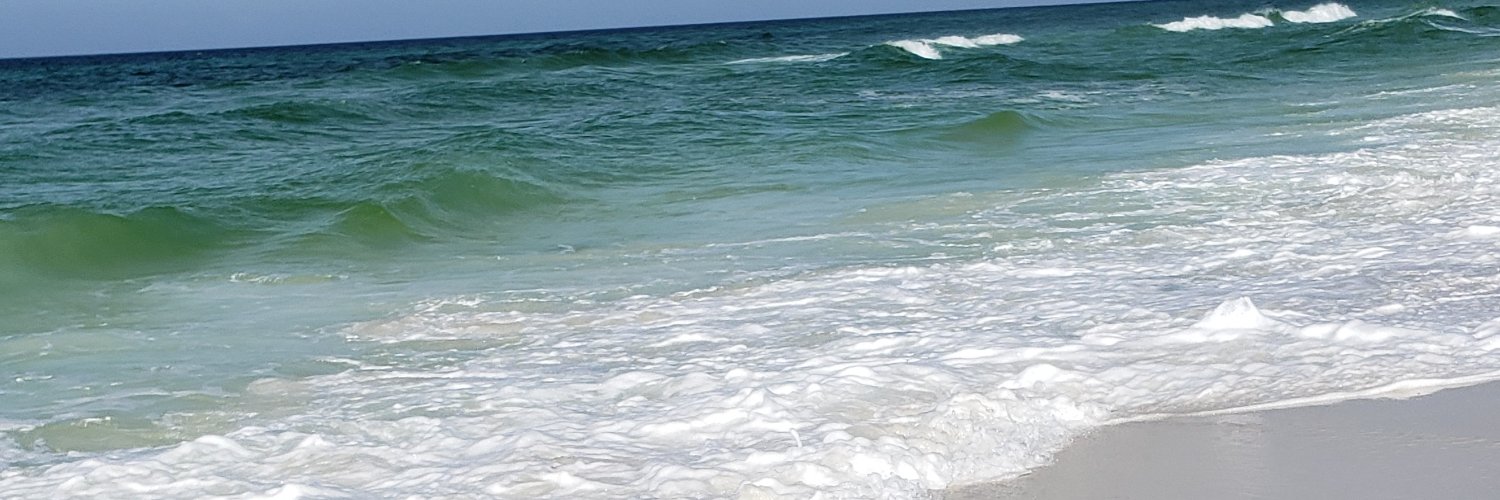 kimtaylorcleve's profile banner image