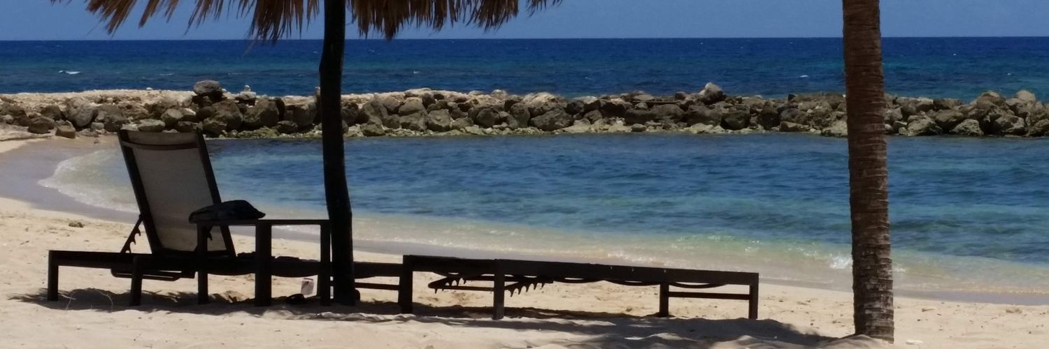 Christine Clark banner