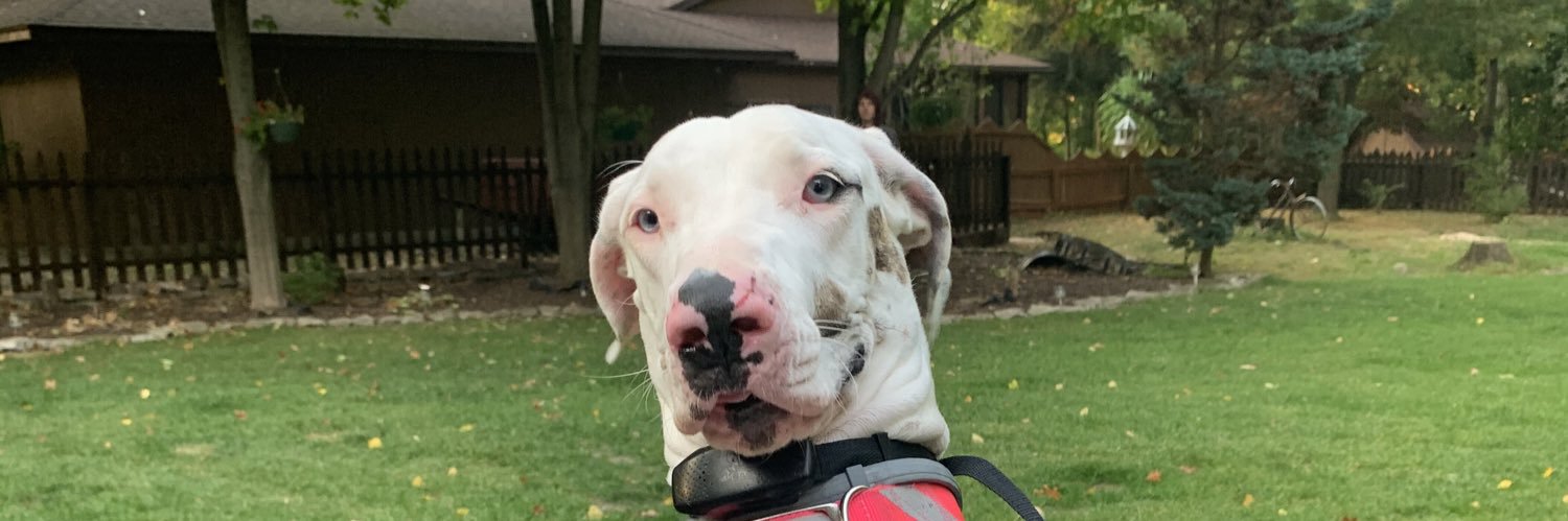 GracieSnay's profile banner image