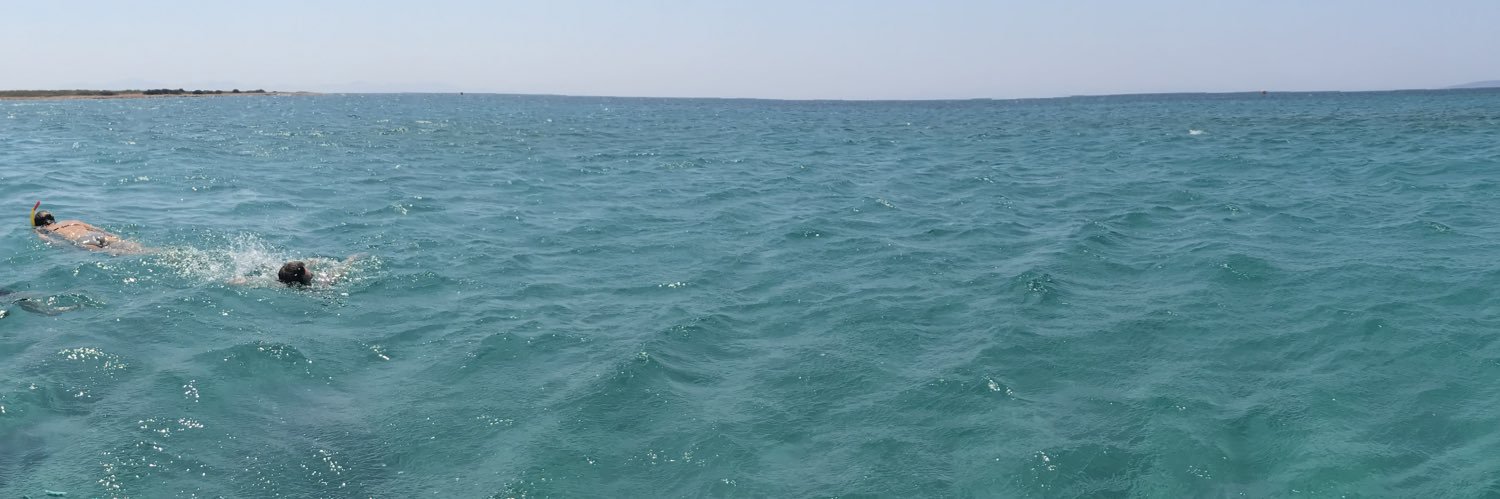 ekin_gonenc's profile banner image