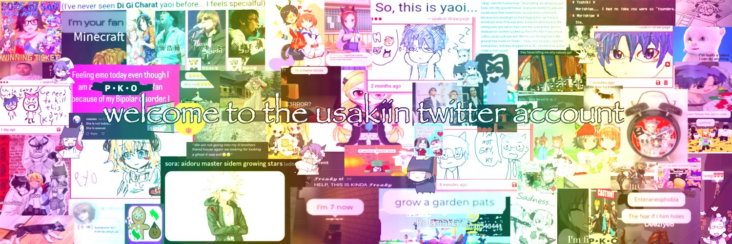 usakiin's profile banner image