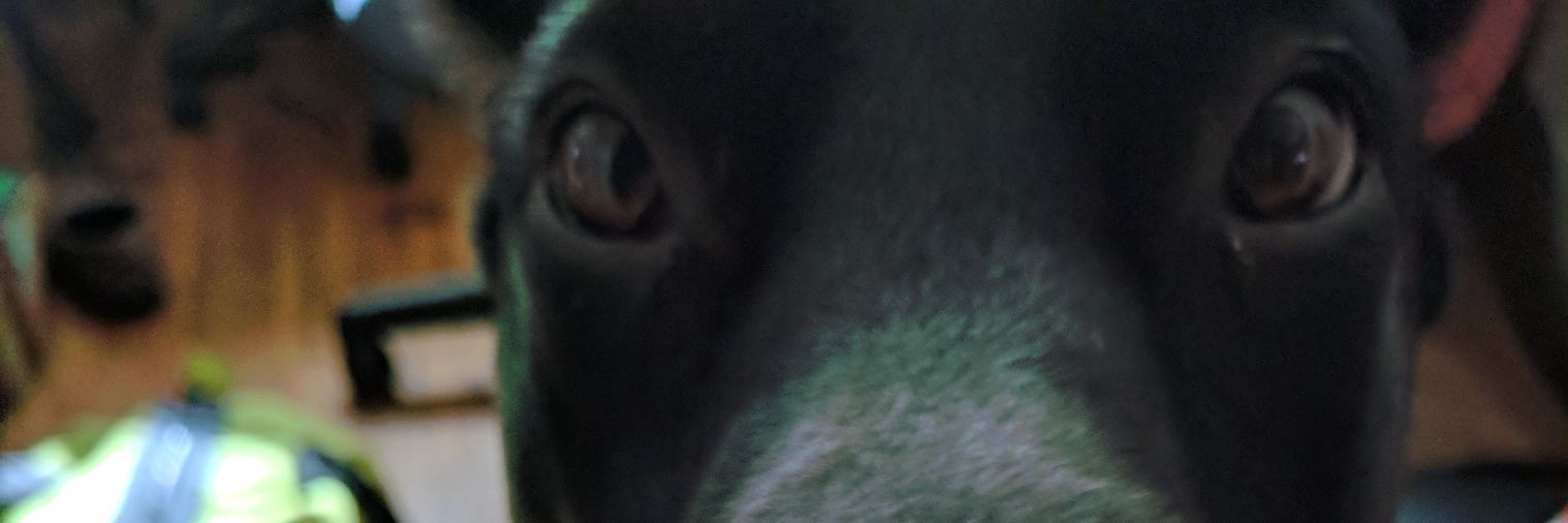 shortryan1's profile banner image