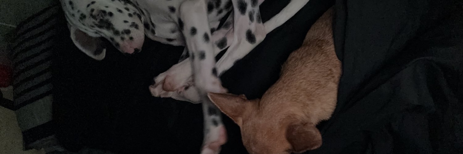 JPEV_'s profile banner image