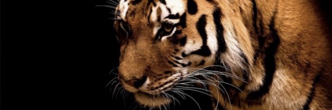 Byron Oberschlake banner