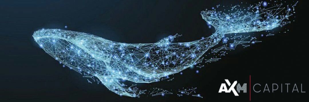 msufiansaid's profile banner image